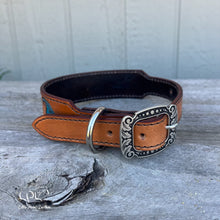 Load image into Gallery viewer, Dino Dog Collar