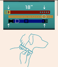 Load image into Gallery viewer, AUCTION 14-18” Driftwood Hide Blingy Dog Collars