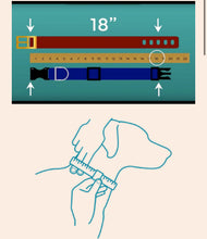 Load image into Gallery viewer, Rio Floral Hide Dog Collars
