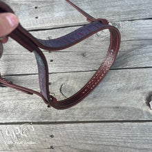 Load image into Gallery viewer, AUCTION Blinged Rio Hide Tie Down Noseband