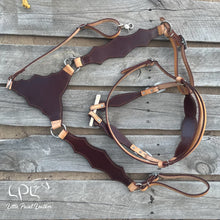 Load image into Gallery viewer, CHANCE TO WIN Succulent Moon Tack Set