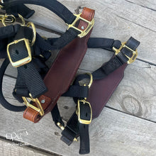 Load image into Gallery viewer, Halloween Halter

