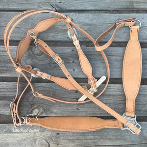 Teal Dragon Tack Set