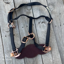 Load image into Gallery viewer, Pumpkin Bat Halter
