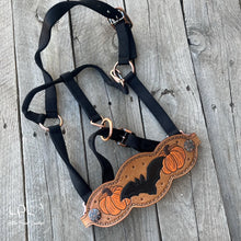 Load image into Gallery viewer, Pumpkin Bat Halter
