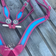 Load image into Gallery viewer, Pink &amp; Blue Tack Set
