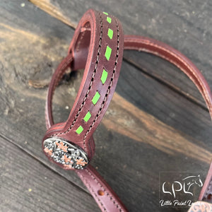 Printed Dinosaur Headstall