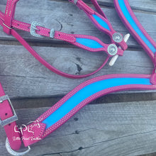 Load image into Gallery viewer, Pink &amp; Blue Tack Set
