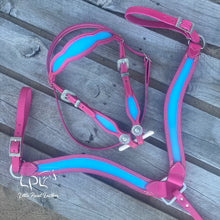 Load image into Gallery viewer, Pink &amp; Blue Tack Set
