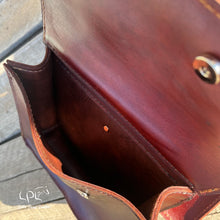 Load image into Gallery viewer, Dinosaur Horn Saddle Bags
