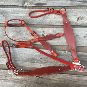 Orange Western Halloween Tack Set