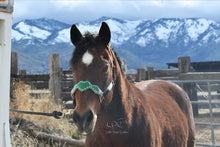 Load image into Gallery viewer, CHANCE TO WIN Green Set
