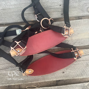Black Color Shift Dragon Halter