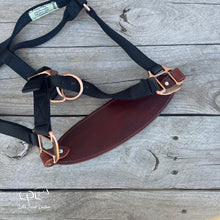 Load image into Gallery viewer, Dinosaur Halter

