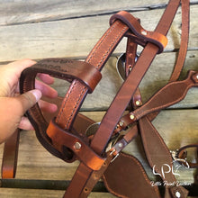 Load image into Gallery viewer, Rodeo Dino Tack Set
