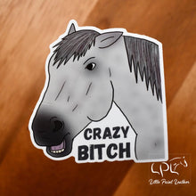 Load image into Gallery viewer, Crazy Bitch Sticker
